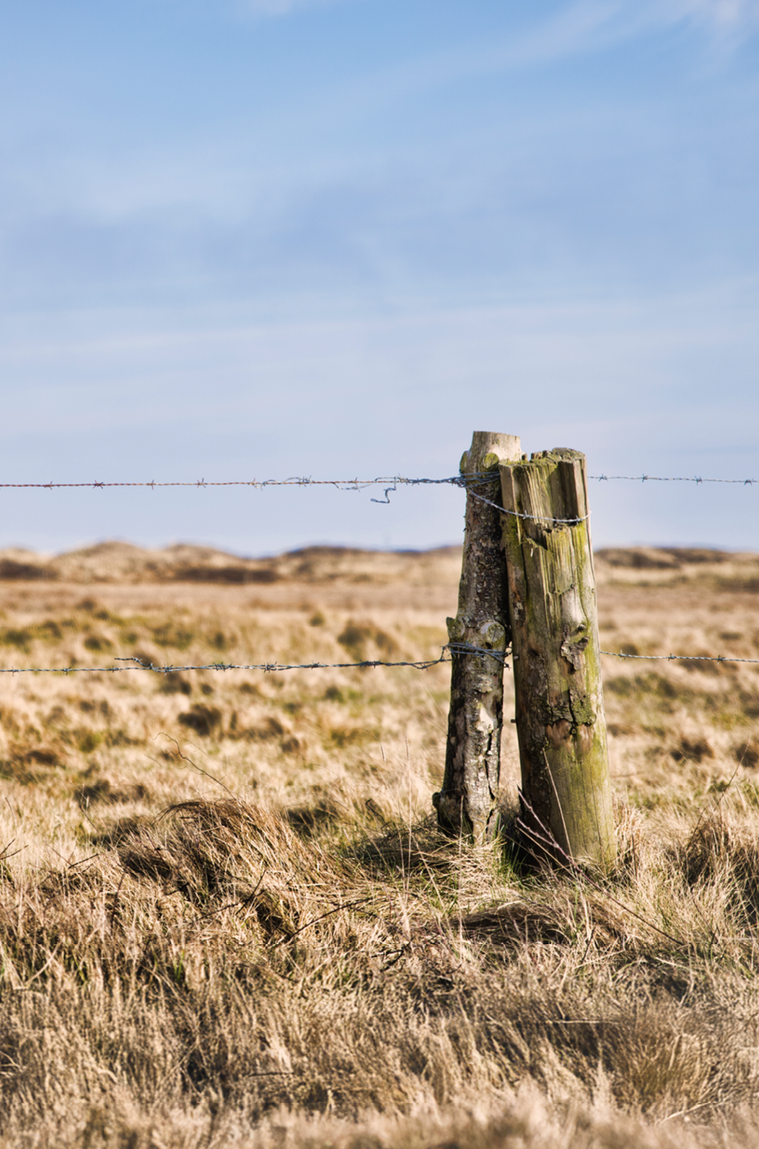 Fall Film Series: Borders - Crossing the Line North and Sout